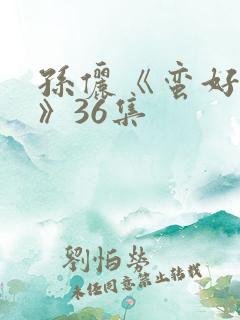 孙俪《蛮好人生》36集