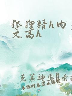 狐狸精h肉多荤文高h