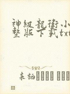 神级龙卫小说完整版下载txt