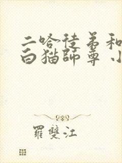 二哈徒弟和他的白猫师尊 小说