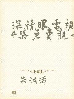 深情眼电视剧24集免费观看全集高清