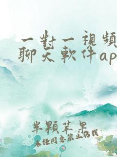 一对一视频聊天聊天软件app