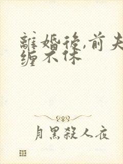 离婚后,前夫纠缠不休