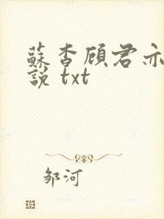 苏杳顾君亦 小说 txt