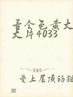 看全色黄大色黄大片4033