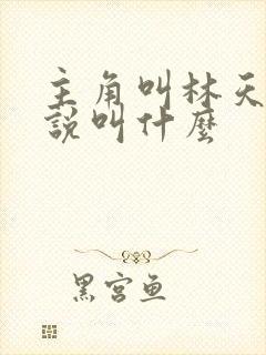 主角叫林天的小说叫什么