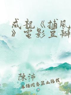 成龙《捕风追影》电影豆瓣评分