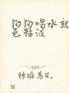 狗狗喝水就吐白色粘液