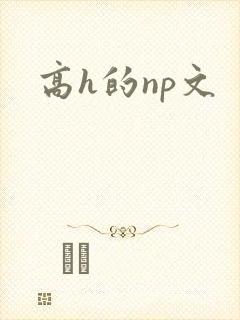 高h的np文