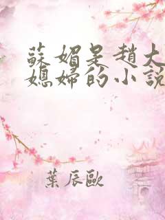苏媚是赵大宝儿媳妇的小说