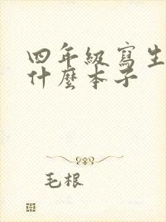 四年级写生字用什么本子