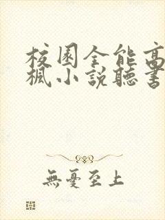 校园全能高手季枫小说听书