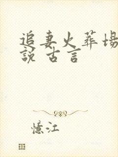 追妻火葬场的小说 古言