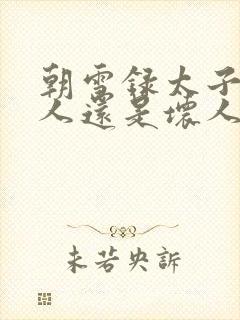 朝雪录太子是好人还是坏人