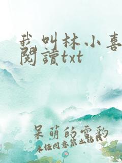 我叫林小喜免费阅读txt
