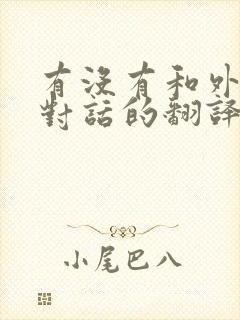 有没有和外国人对话的翻译软件