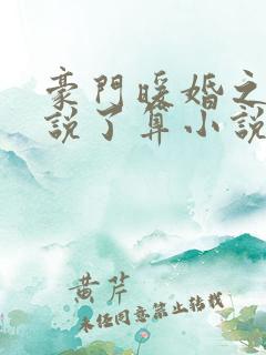 豪门暖婚之夫人说了算小说txt