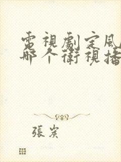 电视剧定风波在哪个卫视播出