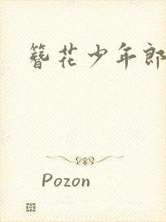 簪花少年郎免费