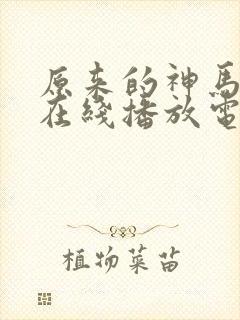 原来的神马手机在线播放电视剧免费