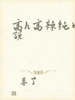 高h高辣纯肉小说