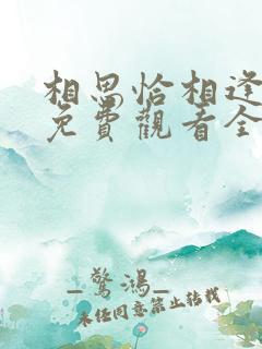 相思恰相逢短剧免费观看全集高清