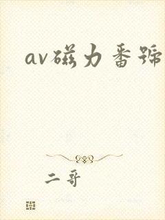 av磁力番号网