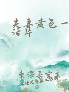 夫妻黄色一级生活片