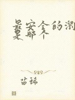 最安全的浏览器是哪个