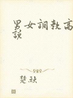 男女调教高h小说