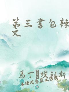 第三书包辣肉网文