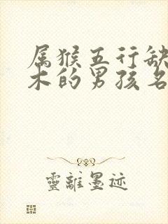 属猴五行缺水缺木的男孩名字