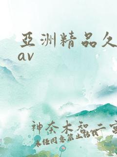 亚洲精品久久久av