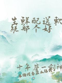 生鲜配送软件系统哪个好