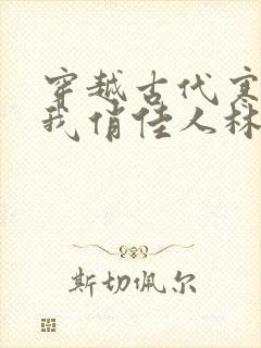 穿越古代寒风送我俏佳人林婉茹扮演者
