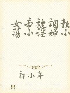 女帝被调教成放荡小淫妇小说