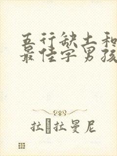 五行缺土和金的最佳字男孩