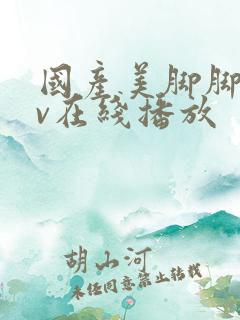 国产美脚脚交av在线播放