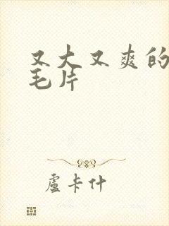 又大又爽的少妇毛片