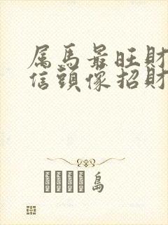 属马最旺财的微信头像招财