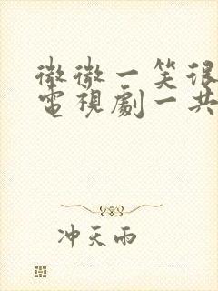 微微一笑很倾城电视剧一共多少集