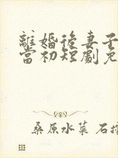 离婚后妻子悔不当初短剧免费观看