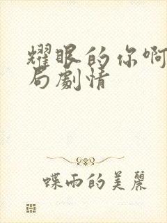 耀眼的你啊大结局剧情