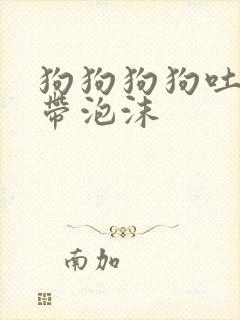 狗狗狗狗吐黄水带泡沫