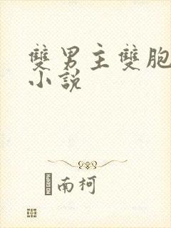 双男主双胞胎的小说