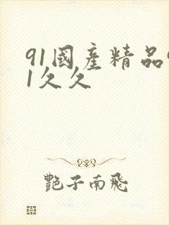 91国产精品91久久