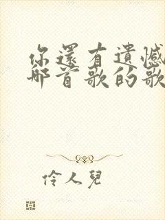 你还有遗憾吗是哪首歌的歌词