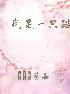 我是一只猫的