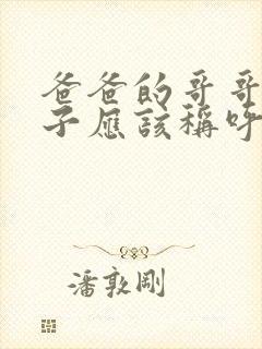 爸爸的哥哥的儿子应该称呼什么