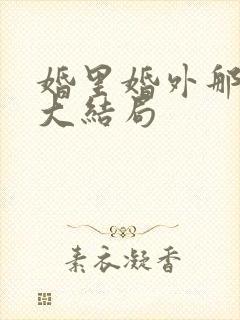 婚里婚外那些事大结局